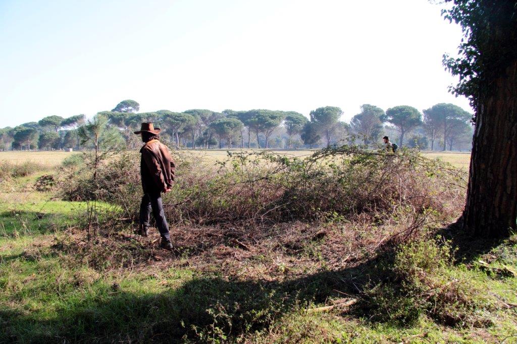 VOLONTANFIBI 2014: Parco Regionale MSRM